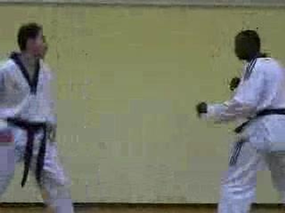 Taekwondo - Free Fight