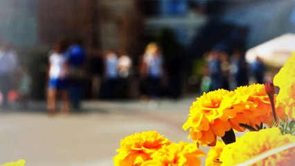 A vendre - Maison - CHARLY (69390) - 5 pièces - 120m²