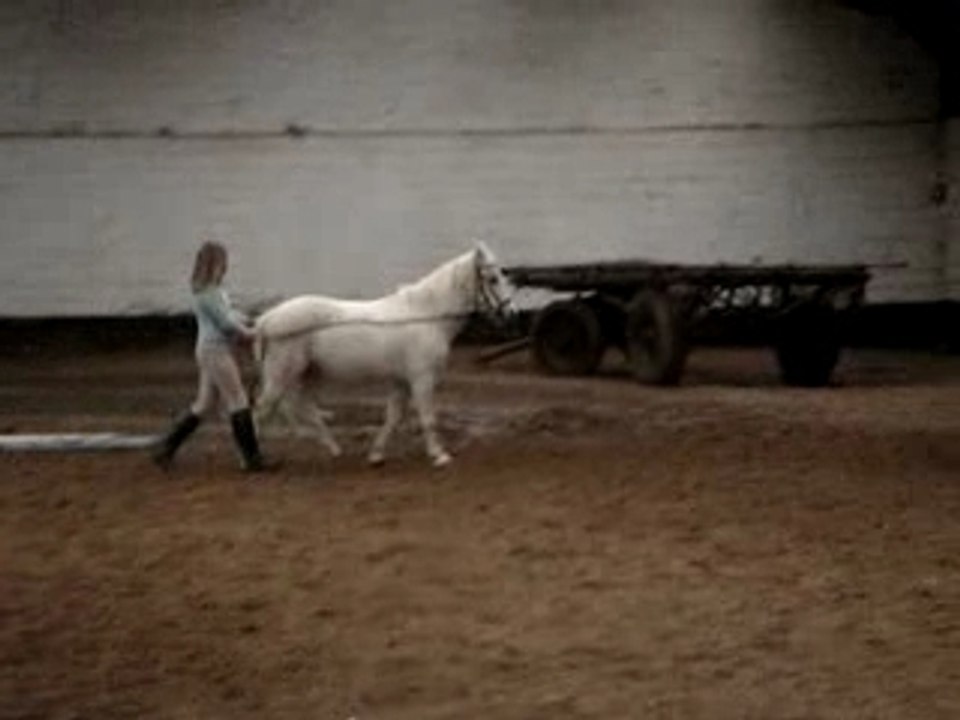 Mouch et moi =>Longues rênes