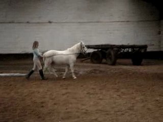 Mouch et moi =>Longues rênes