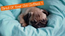 PUG YOU - Pug Themed Clothing, Accessories & House Items for Humans