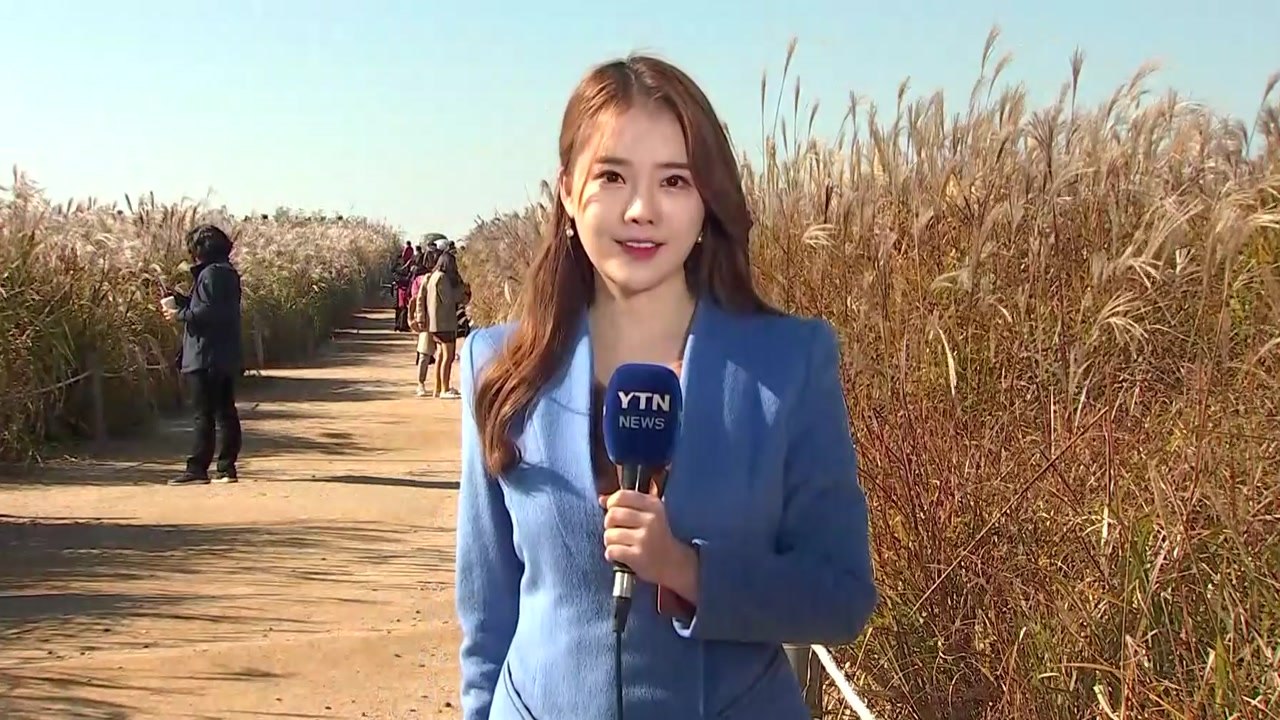 [날씨] 쾌청한 하늘, 공기 깨끗...가을볕에 기온 껑충 / YTN