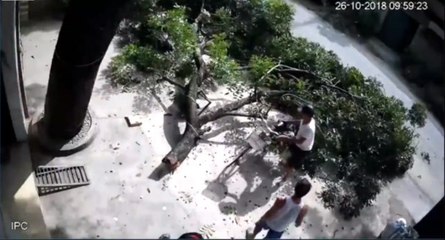 Ölüm Teğet Geçti