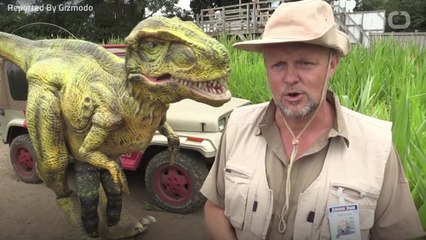 Are Dinosaurs Why Birds Have Colorful Eggs?