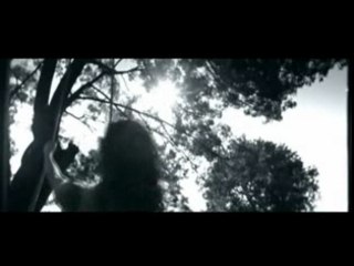 Özcan Deniz - Nasip Degilmis by Aluxton