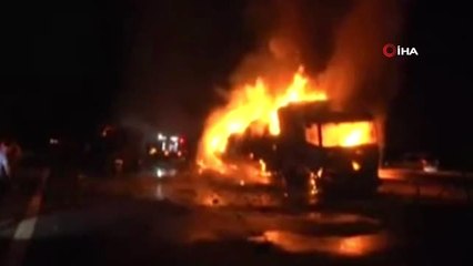 Tırın Dorsesinde Yanan 'Beyaz Kan Hücresi' Denilen 'Lökosit'ler İmha Edilecek