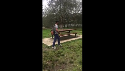 Duck turns around and attacks passing walker