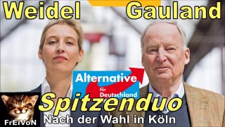 Weidel und Gauland - das Spitzenduo der AfD