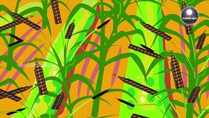 Gunta Nakka- Elugubanti katha - Telugu Stories for Kids - Chandamama Kathalu