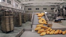 Günde 150 bin ekmek üretip 80 kuruştan satıyorlar - VAN