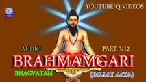 BRAHMAMGARI BHAGVATAM {PALLAY AATA} PART 3_12 AUDIO NEW QVIDEOS