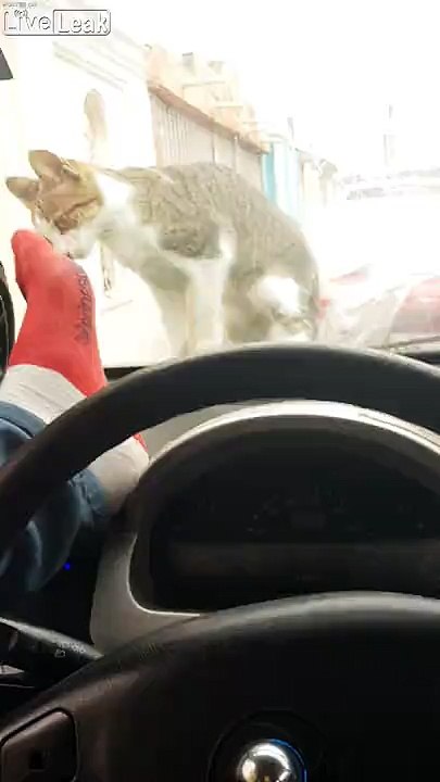 İlahi adaletin işleyişi