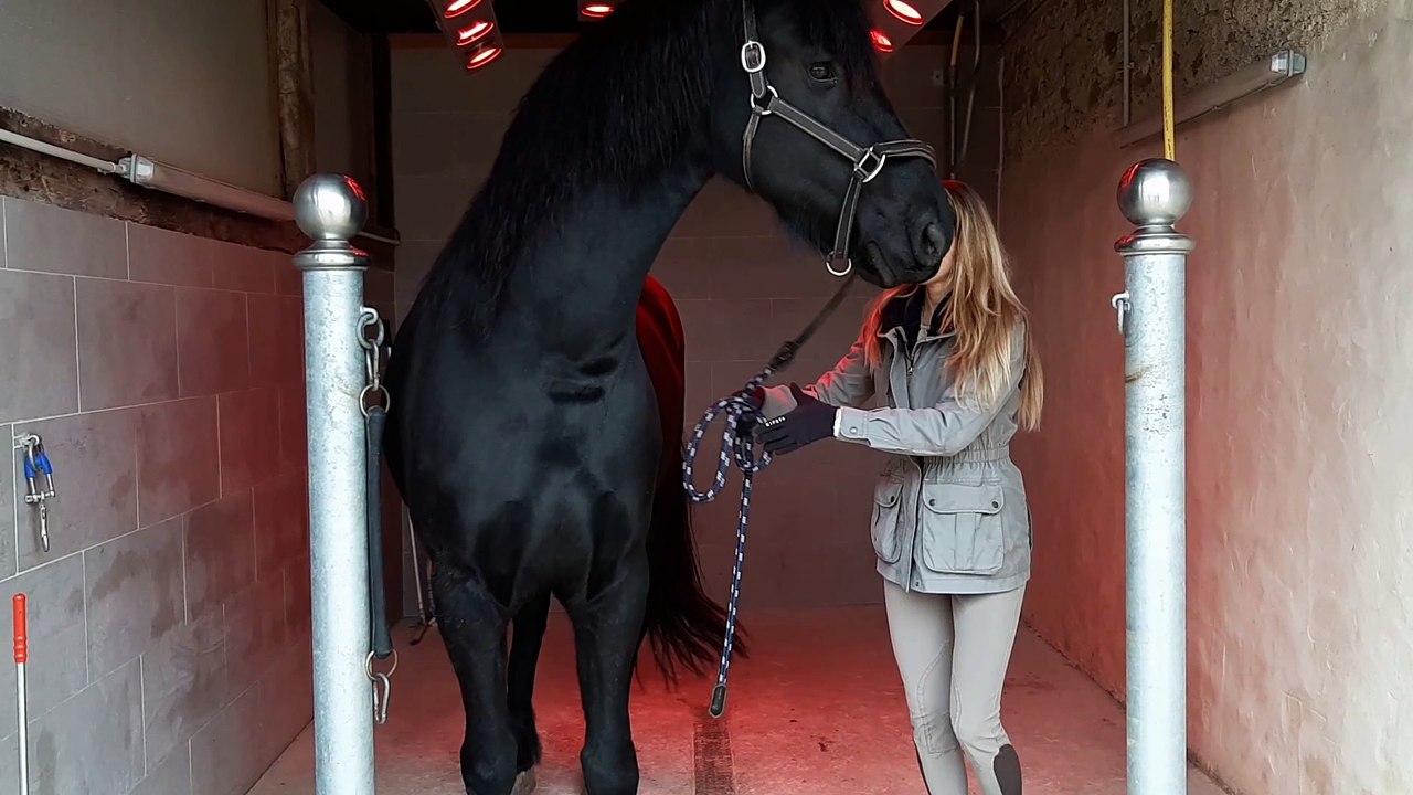 Natalia Noviel (cavalière et propriétaire de chevaux) et Bretch (8 ans)