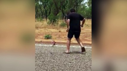 ¡Lagarto en modo dragón le da el susto de su vida a un turista!