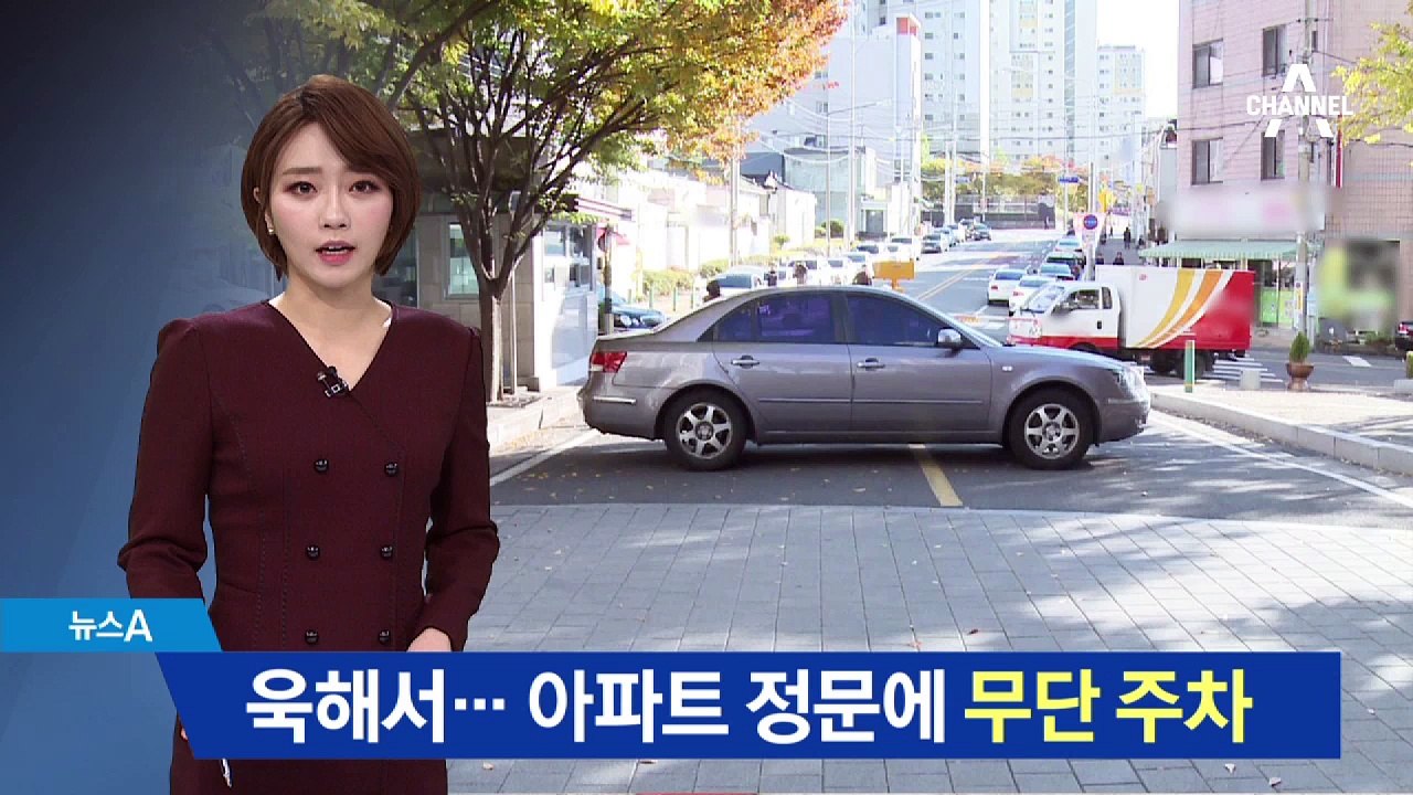 주민 갈등에 욱해서…아파트 정문에 ‘무단 주차’