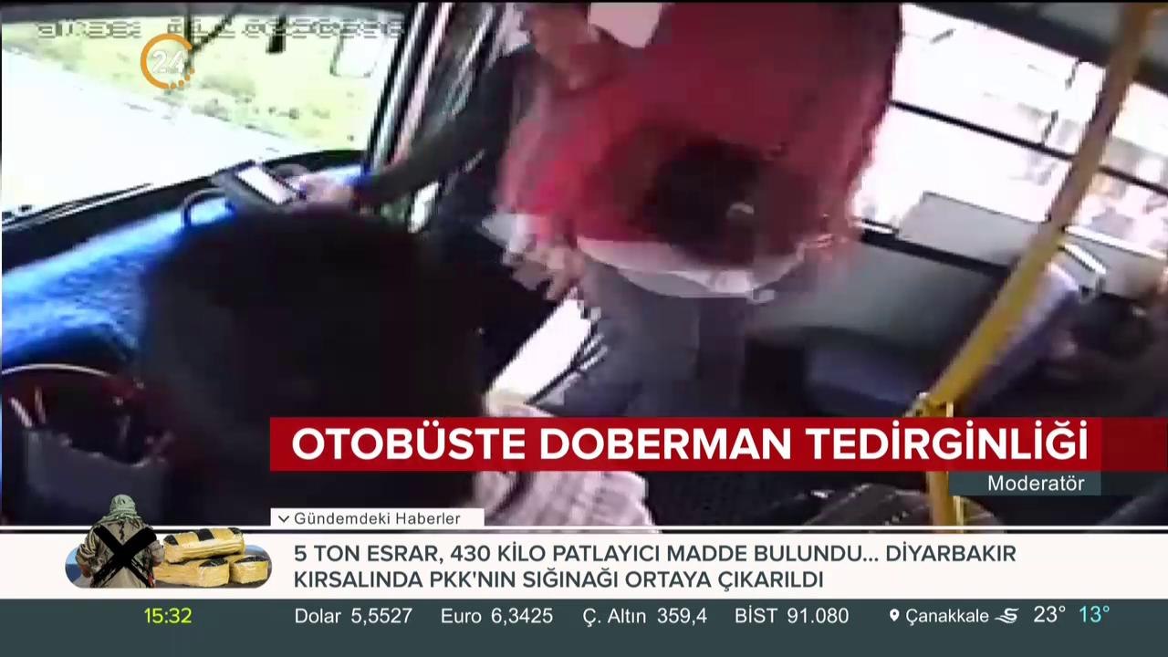 Otobüste doberman tedirginliği