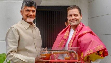 Rahul Gandhi ने की Chandrababu Naidu से मुलाकात, PM Modi के खिलाफ लड़ेंगे साथ । वनइंडिया हिंदी