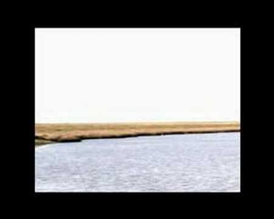 Go Fishing: Sea Angler visit Orford Island