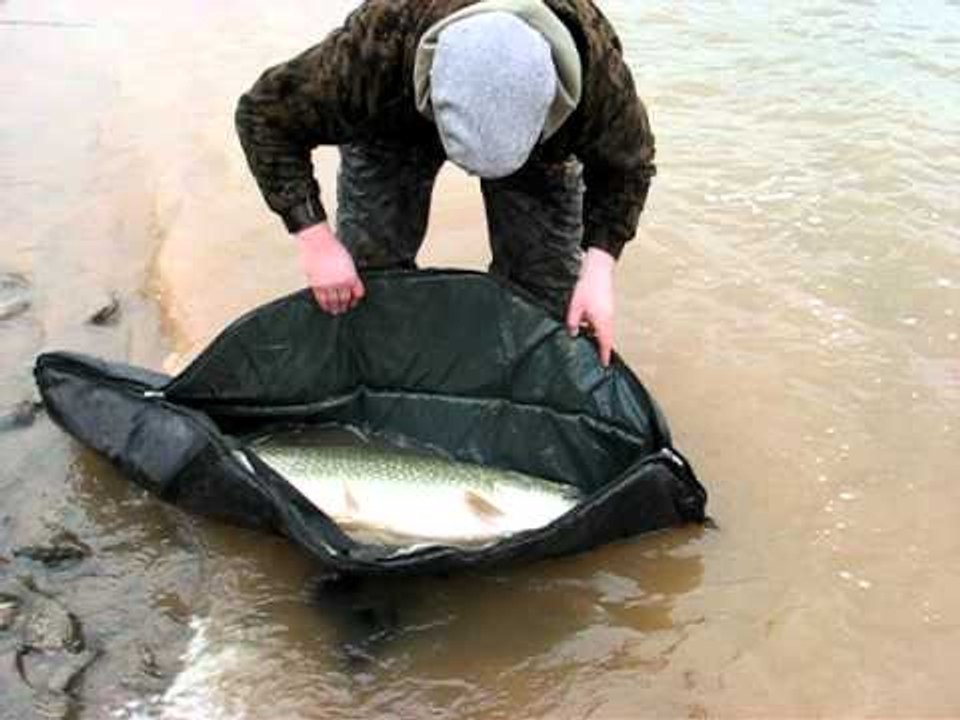Jamie Cartwright's 33lb 8oz Chew Pike