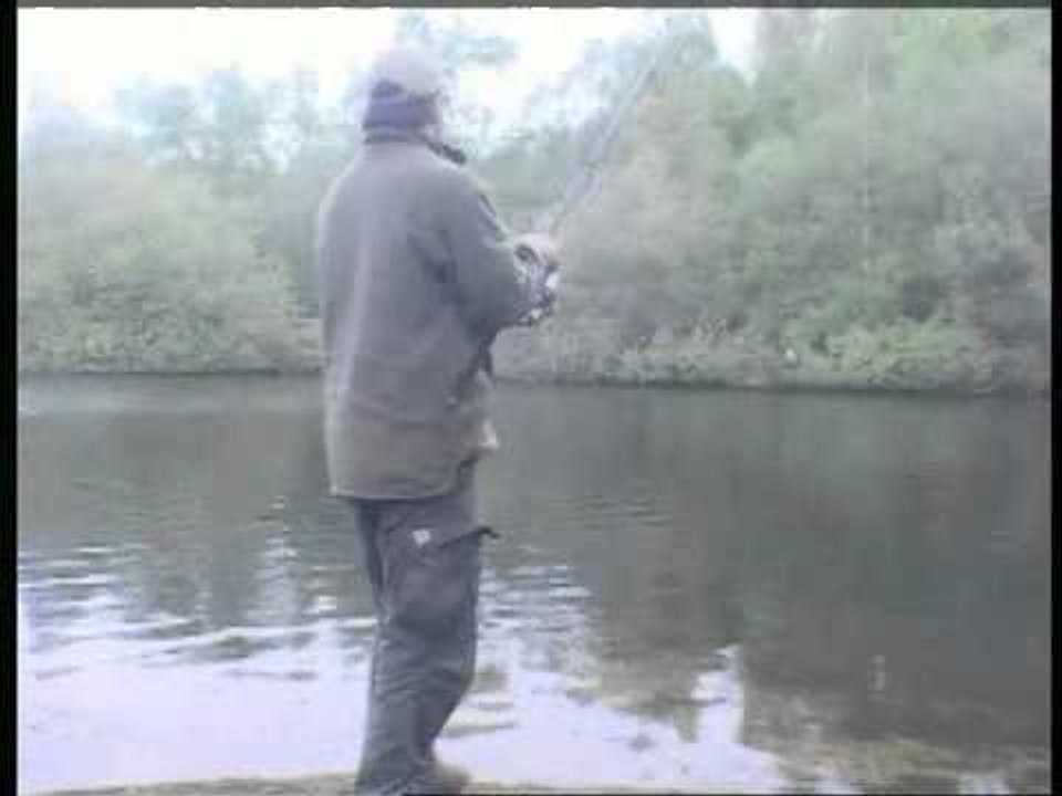 THE TAKING CARP