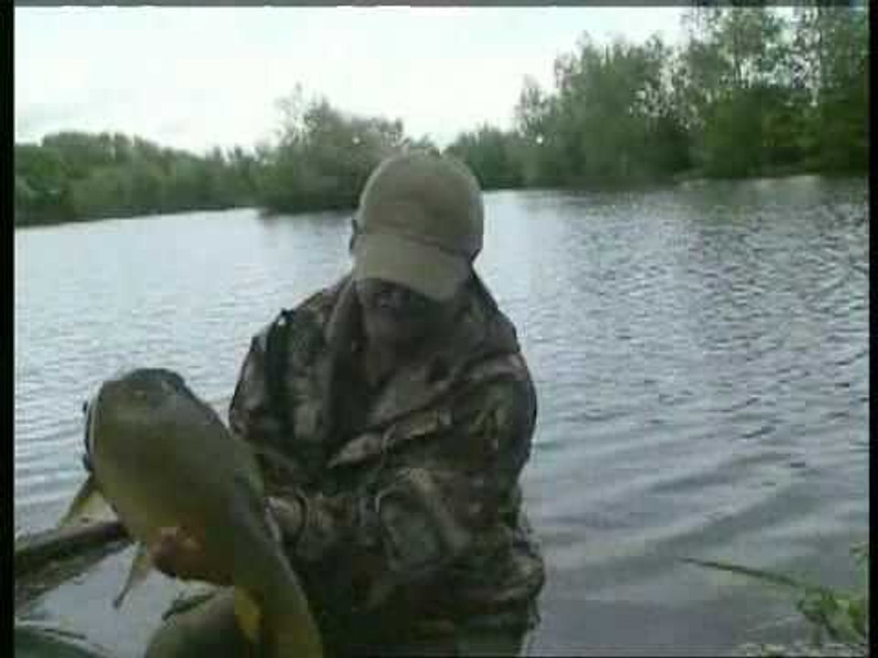 CARP ACTION