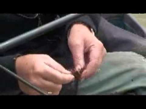 Chopped worm fishing on commercials