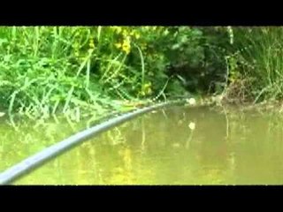 How to not spook carp in shallow water