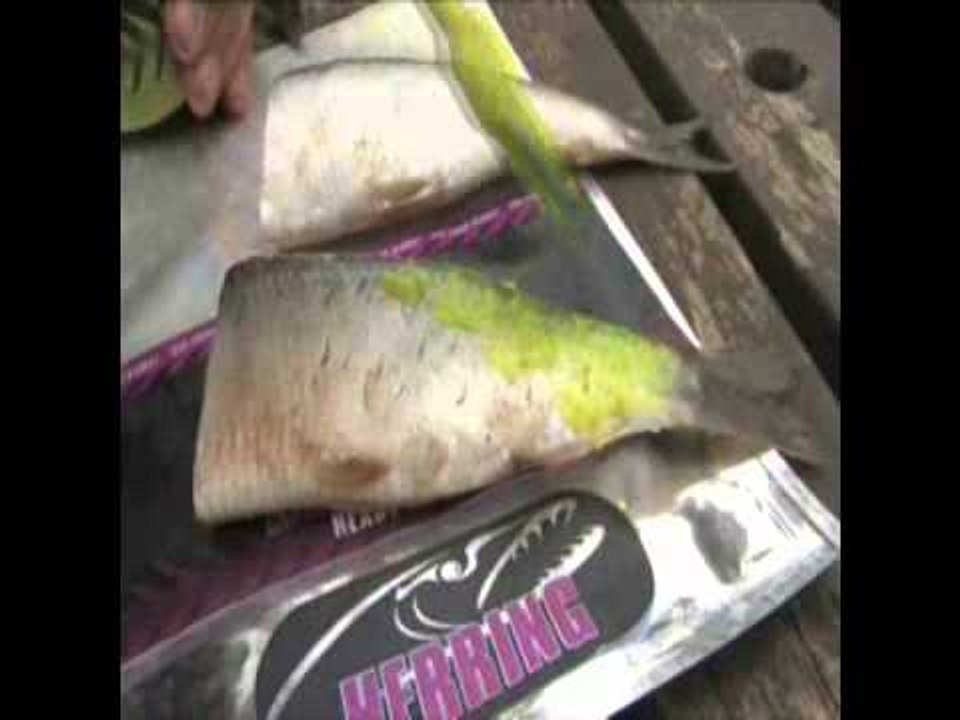 Mick Brown colouring deadbaits