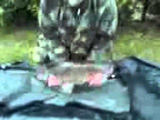 Jamie Vine chub catch 1