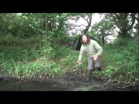 trailer_promo-youtube A Fish For All Seasons-H.264 300Kbps Streaming#493E