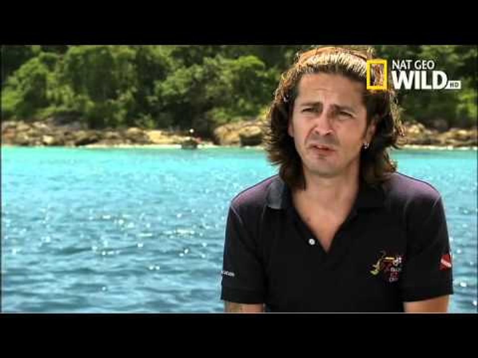 When Fish Attack Promo
