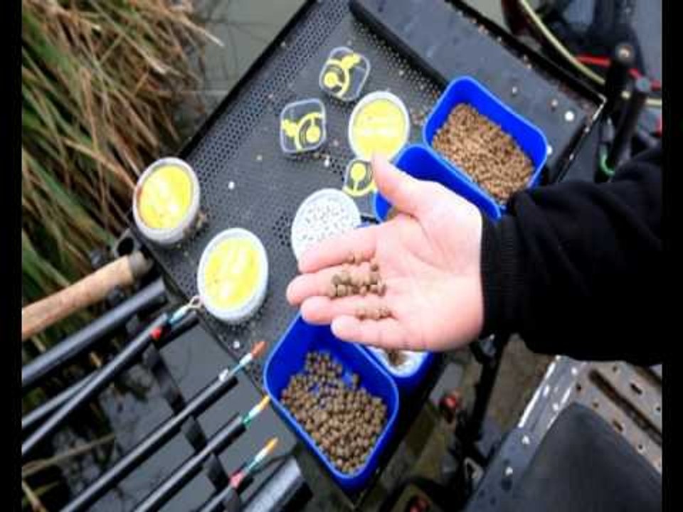 Catching on Manor Farm - the UK's most consistent fishery