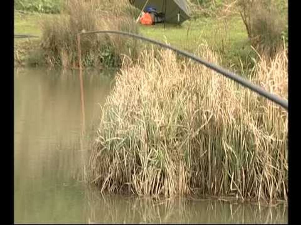 IYCF Target baits
