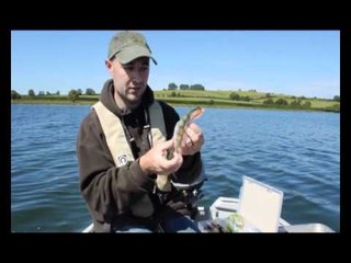 Fishing for pike on the fly