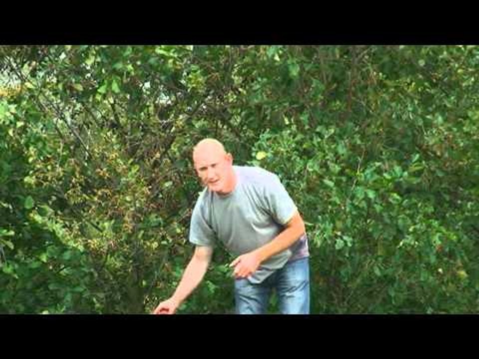 Fishing and feeding groundbait for carp, bream, roach and tench