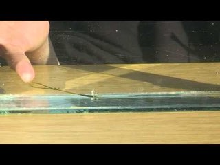 The Multi carp rig explained in detail