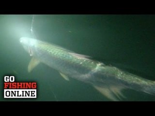 John Wilson's Top 10 Greatest catches - No. 9