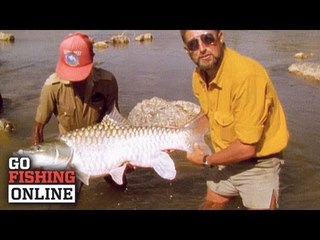 John Wilson's Top 10 Greatest catches - No. 3