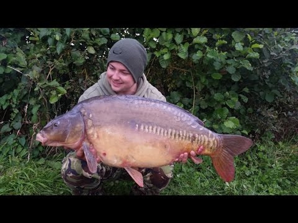 Catch big carp at day ticket waters