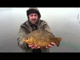 Monster crucian carp - biggest ever on film