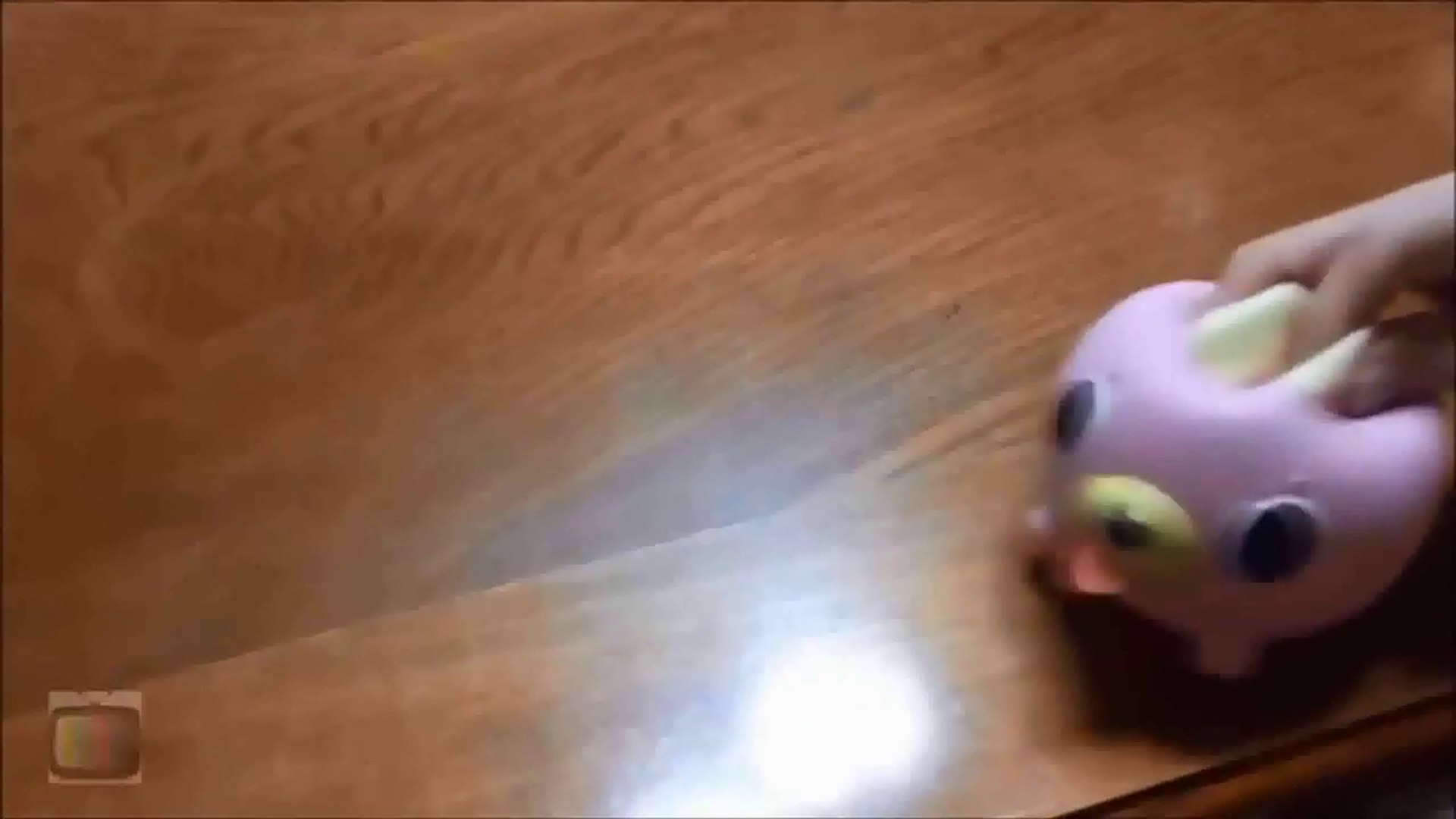 pink squeaky dog toy meme