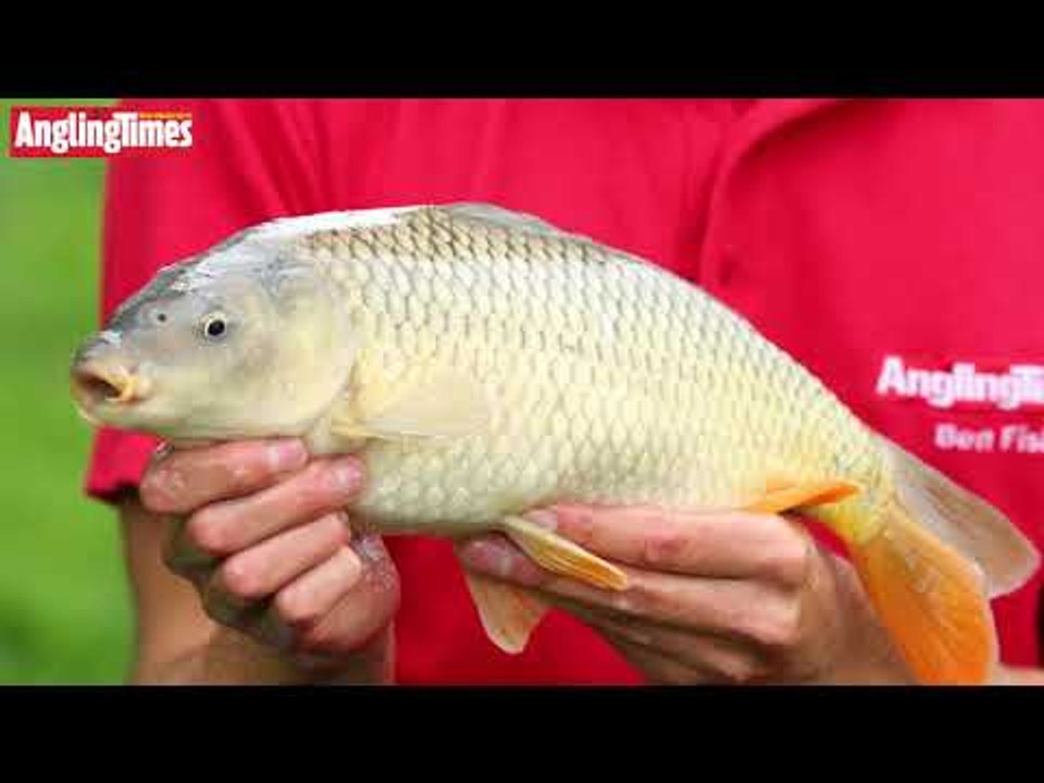 Method Feeder Fishing With The Maver Reality 10ft Feeder Rod