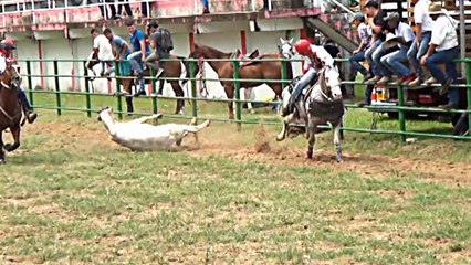 7º COPA JOROPO LLANO Y COLEO