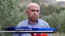Ndotja ne Elbasan, fermeret nuk kane prodhim