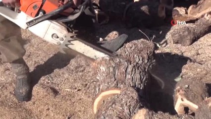 Kömürdeki Fiyat Artışı Oduna Rağbeti Arttırdı