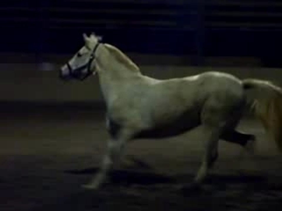 Star 03.12.07 022