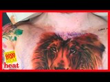 The big Ed Sheeran lion tattoo scandal. It IS real. Fact. Full stop.