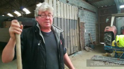 Un serpent à Montroeul-au-Bois