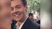 Harry Styles takes a swipe at his fame at the world premiere of Dunkirk
