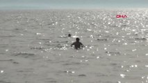 Balıkesir Edremit'te Kasım Ayında Deniz Keyfi